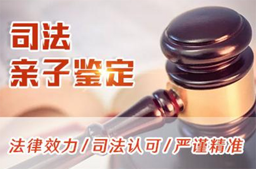南宁司法DNA亲子鉴定手续和流程,南宁司法DNA亲子鉴定哪里做
