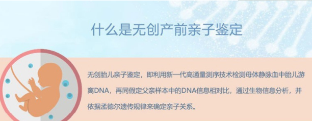 怀孕期间南宁如何办理孕期亲子鉴定,南宁办理孕期亲子鉴定结果到底准不准确